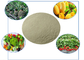 植物栄養におけるアミノ酸ケラートカルシウムとボロンを含む有機肥料