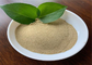 大豆蛋白の加水分解の自由なアミノ酸80%の薄黄色の粉