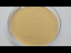 プロバイオティクス