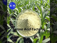 ペプチドとアミノ酸に富んだ植物水解剤 酵素と発酵プロセス