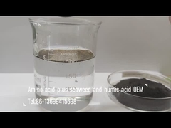 アミノ酸は海藻と混ざり,葉の噴霧と灌水を用いる肥料としてヒューミック酸化合物