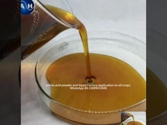 アミノ酸 結晶 酸塩 酸塩 酸塩 酸塩 酸塩 酸塩 酸塩 酸塩 酸塩 酸塩 酸塩 酸塩 酸塩 酸塩 酸塩 酸塩 酸塩 酸塩 酸塩 酸塩 酸塩 酸塩 酸塩 酸塩 酸塩 酸塩 酸塩 酸塩 酸塩 酸塩 酸塩 酸塩 酸塩 酸塩 酸塩 酸塩 酸塩 酸塩 酸塩 酸塩 酸塩