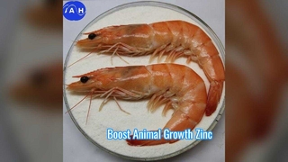 キレート環を作られたマグネシウム