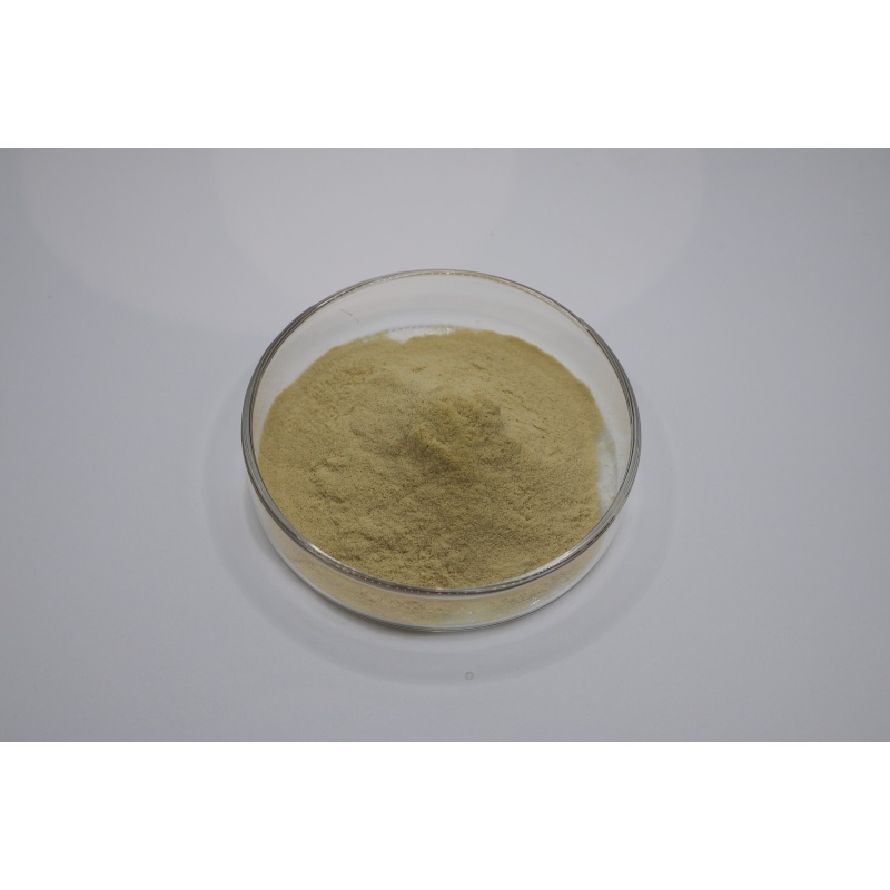 最新の企業ブログについて From Fermentation to Quality Testing: A Technical Guide to Evaluating 90% Fertilizer Grade Amino Acid Powder