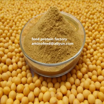 購入 Non-GMO Soy Protein Concentrate with 50% Protein Highly Digestible for Poultry and Aquatic Animals online manufacture