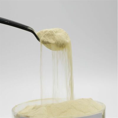 購入 コーンタンパク質源 アミノ酸粉末 85% 酵素水解法による自由アミノ酸 100% 水溶性 オンライン製造