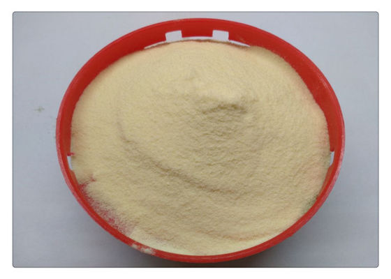 購入 酵素のアミノ酸80%は薄い灰色色を粉にする online manufacture