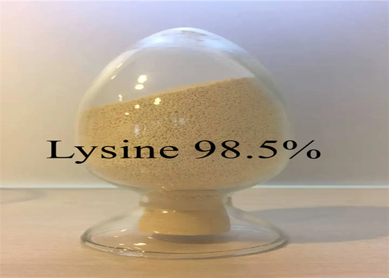 供給の健康な成長を促進する動物のための付加的なLリジンHCl 98.5%