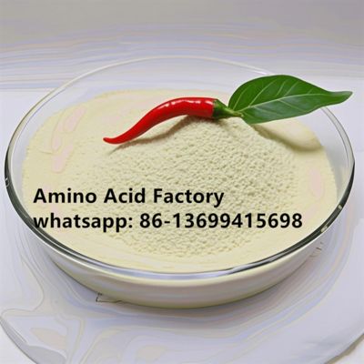 遺伝子組み換えされていない オーガニック農業用 豆類アミノ酸粉 90%