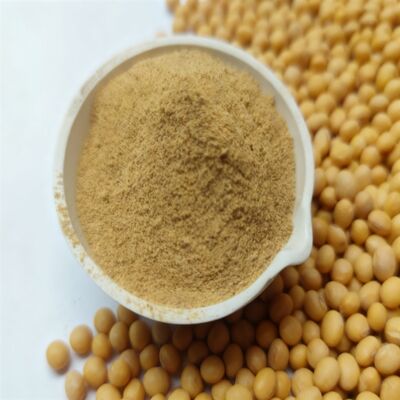 アミノ酸 飼料添加物 ペプシン消化性が高い生タンパク質 総合的な動物栄養のために